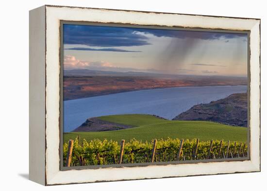 USA, Washington, Columbia Valley. Rain Falls on the Benches Vineyard-Janis Miglavs-Framed Premier Image Canvas