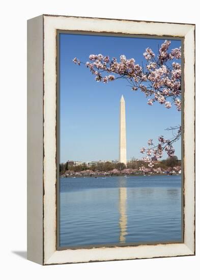 USA, Washington D.C. The Washington Monument framed by cherry blossoms-Charles Sleicher-Framed Premier Image Canvas