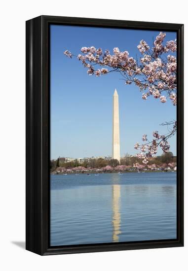 USA, Washington D.C. The Washington Monument framed by cherry blossoms-Charles Sleicher-Framed Premier Image Canvas