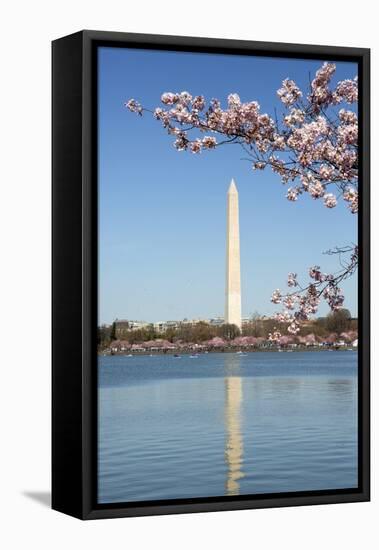 USA, Washington D.C. The Washington Monument framed by cherry blossoms-Charles Sleicher-Framed Premier Image Canvas