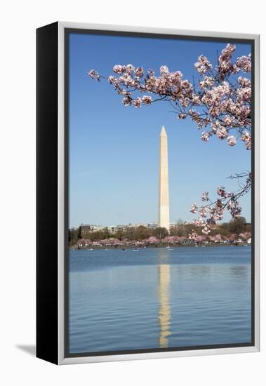 USA, Washington D.C. The Washington Monument framed by cherry blossoms-Charles Sleicher-Framed Premier Image Canvas