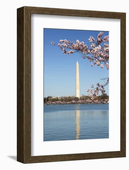 USA, Washington D.C. The Washington Monument framed by cherry blossoms-Charles Sleicher-Framed Photographic Print