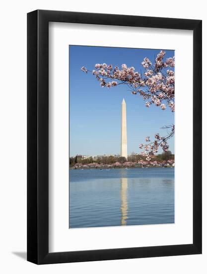 USA, Washington D.C. The Washington Monument framed by cherry blossoms-Charles Sleicher-Framed Photographic Print