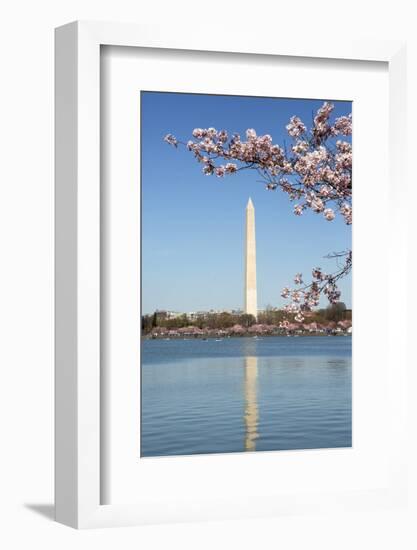 USA, Washington D.C. The Washington Monument framed by cherry blossoms-Charles Sleicher-Framed Photographic Print