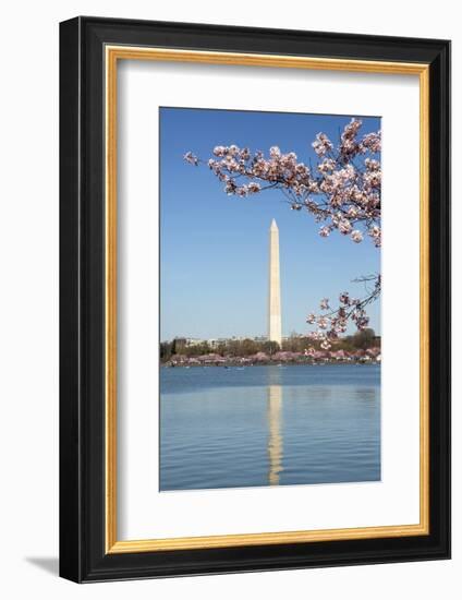 USA, Washington D.C. The Washington Monument framed by cherry blossoms-Charles Sleicher-Framed Photographic Print