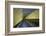 USA, Washington D.C, white wall-Michele Molinari-Framed Photographic Print