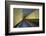 USA, Washington D.C, white wall-Michele Molinari-Framed Photographic Print