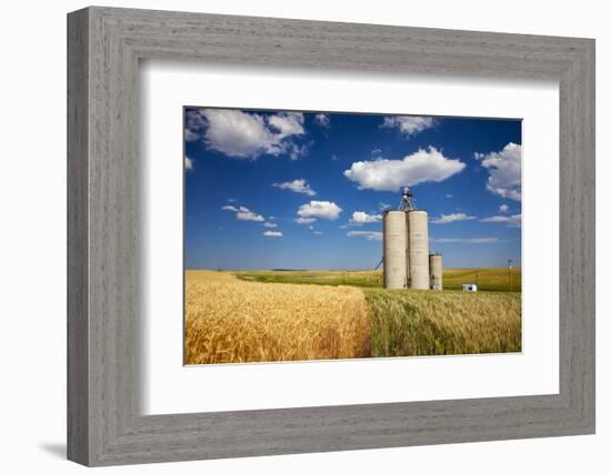 USA, Washington, Davenport. Silos Surrounded by Fields of Wheat-Terry Eggers-Framed Photographic Print