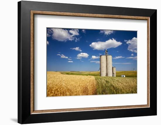 USA, Washington, Davenport. Silos Surrounded by Fields of Wheat-Terry Eggers-Framed Photographic Print