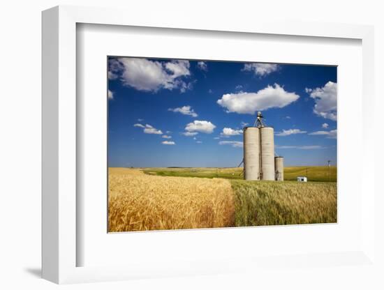 USA, Washington, Davenport. Silos Surrounded by Fields of Wheat-Terry Eggers-Framed Photographic Print