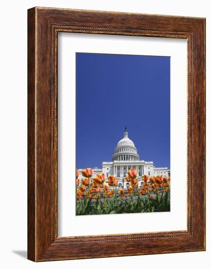 USA, Washington DC. Capitol building.-Jaynes Gallery-Framed Photographic Print