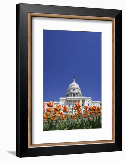 USA, Washington DC. Capitol building.-Jaynes Gallery-Framed Photographic Print