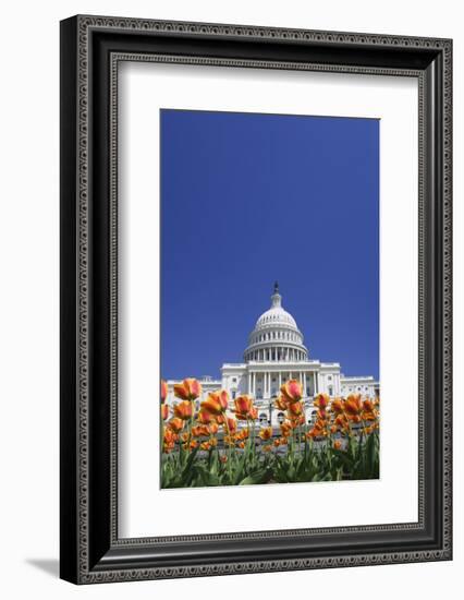 USA, Washington DC. Capitol building.-Jaynes Gallery-Framed Photographic Print