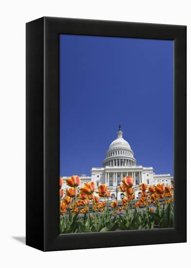 USA, Washington DC. Capitol building.-Jaynes Gallery-Framed Premier Image Canvas