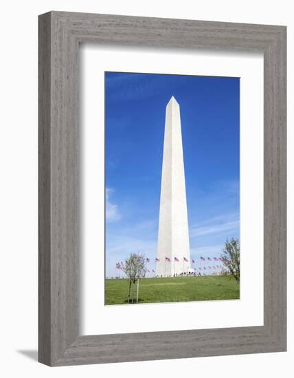 USA, Washington DC, Flags waving around the Washington Monument-Hollice Looney-Framed Photographic Print