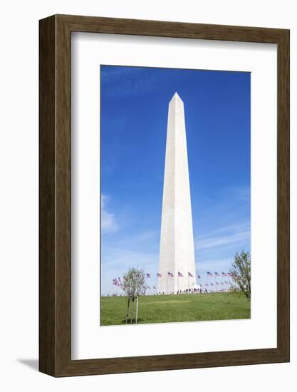 USA, Washington DC, Flags waving around the Washington Monument-Hollice Looney-Framed Photographic Print