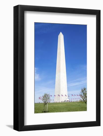 USA, Washington DC, Flags waving around the Washington Monument-Hollice Looney-Framed Photographic Print