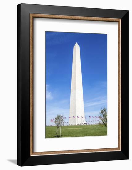 USA, Washington DC, Flags waving around the Washington Monument-Hollice Looney-Framed Photographic Print