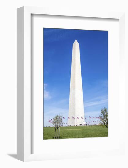 USA, Washington DC, Flags waving around the Washington Monument-Hollice Looney-Framed Photographic Print