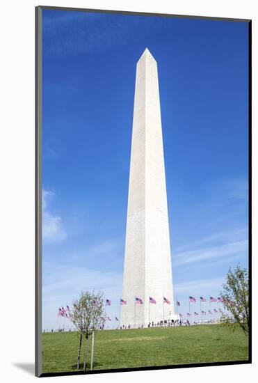 USA, Washington DC, Flags waving around the Washington Monument-Hollice Looney-Mounted Photographic Print