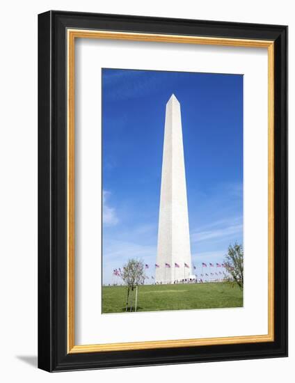 USA, Washington DC, Flags waving around the Washington Monument-Hollice Looney-Framed Photographic Print