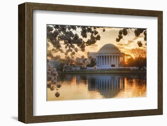 USA, Washington DC, Jefferson Memorial with Cherry Blossoms at Sunrise-Hollice Looney-Framed Photographic Print