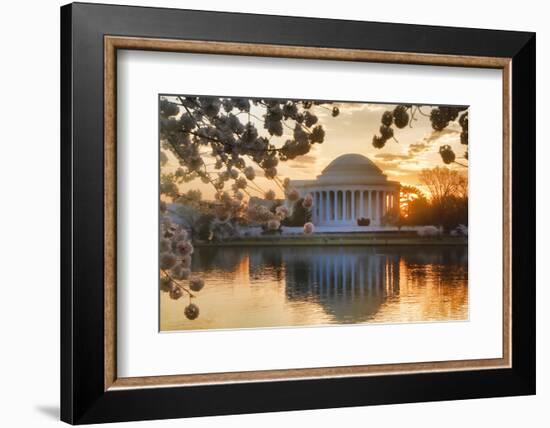 USA, Washington DC, Jefferson Memorial with Cherry Blossoms at Sunrise-Hollice Looney-Framed Photographic Print