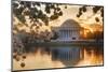 USA, Washington DC, Jefferson Memorial with Cherry Blossoms at Sunrise-Hollice Looney-Mounted Photographic Print