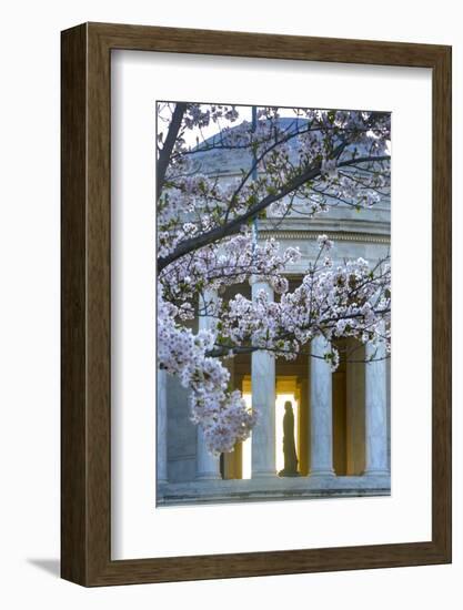 USA, Washington DC, Jefferson Memorial with Cherry Blossoms-Hollice Looney-Framed Photographic Print