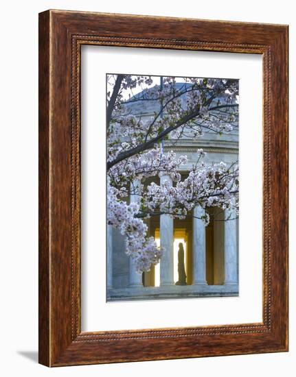 USA, Washington DC, Jefferson Memorial with Cherry Blossoms-Hollice Looney-Framed Photographic Print