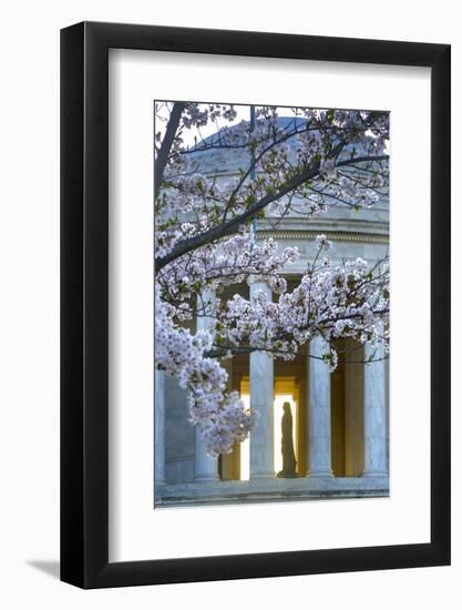 USA, Washington DC, Jefferson Memorial with Cherry Blossoms-Hollice Looney-Framed Photographic Print