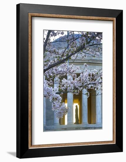 USA, Washington DC, Jefferson Memorial with Cherry Blossoms-Hollice Looney-Framed Photographic Print