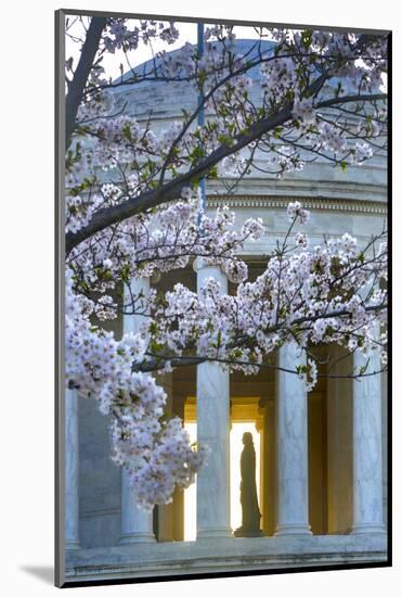 USA, Washington DC, Jefferson Memorial with Cherry Blossoms-Hollice Looney-Mounted Photographic Print