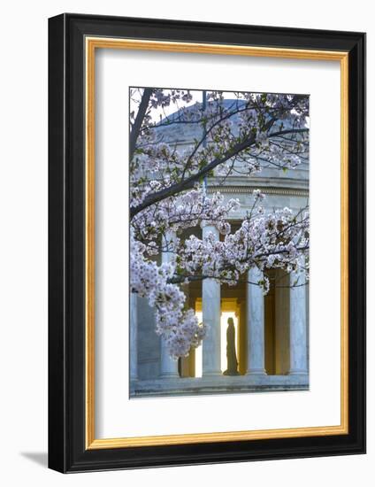 USA, Washington DC, Jefferson Memorial with Cherry Blossoms-Hollice Looney-Framed Photographic Print