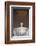 USA, Washington Dc, Lincoln Memorial, Statue of Abraham Lincoln-Walter Bibikow-Framed Photographic Print