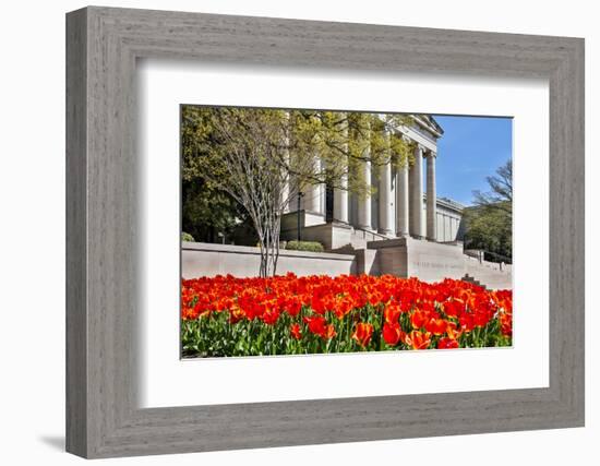 USA, Washington DC, National Gallery of Art West Building in Springtime-Hollice Looney-Framed Photographic Print