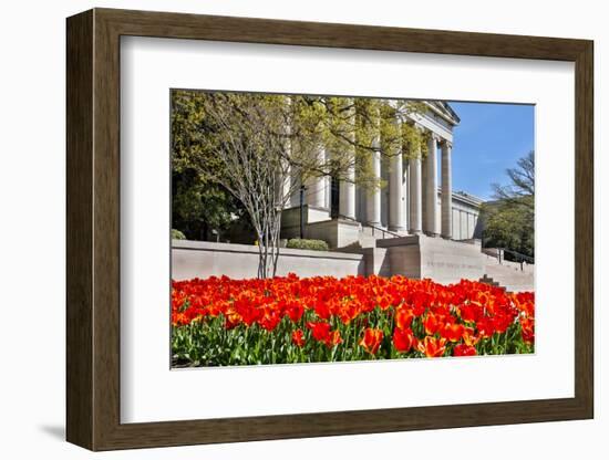 USA, Washington DC, National Gallery of Art West Building in Springtime-Hollice Looney-Framed Photographic Print