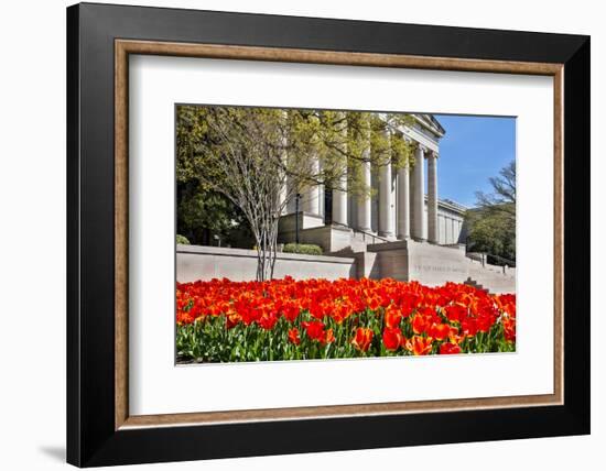 USA, Washington DC, National Gallery of Art West Building in Springtime-Hollice Looney-Framed Photographic Print