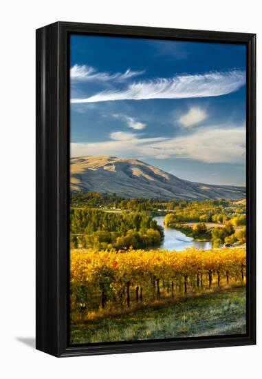 USA, Washington. Harvest Season for Red Mountain Vineyards-Richard Duval-Framed Premier Image Canvas