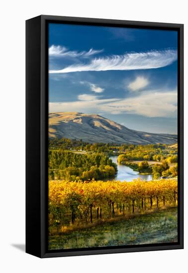 USA, Washington. Harvest Season for Red Mountain Vineyards-Richard Duval-Framed Premier Image Canvas