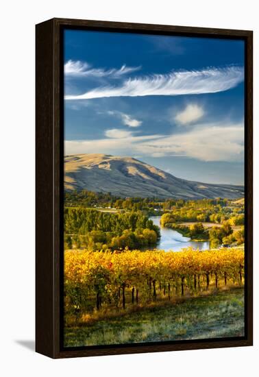 USA, Washington. Harvest Season for Red Mountain Vineyards-Richard Duval-Framed Premier Image Canvas