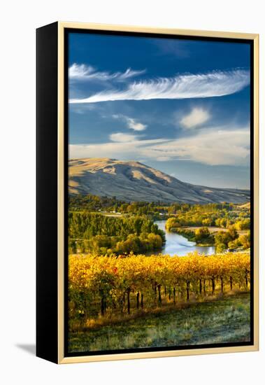 USA, Washington. Harvest Season for Red Mountain Vineyards-Richard Duval-Framed Premier Image Canvas