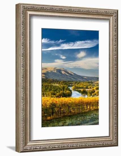 USA, Washington. Harvest Season for Red Mountain Vineyards-Richard Duval-Framed Photographic Print