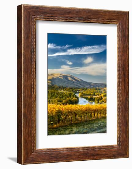 USA, Washington. Harvest Season for Red Mountain Vineyards-Richard Duval-Framed Photographic Print