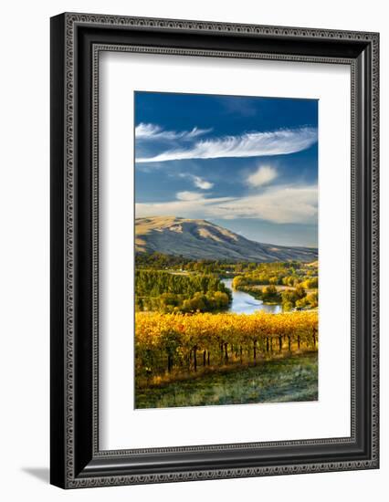 USA, Washington. Harvest Season for Red Mountain Vineyards-Richard Duval-Framed Photographic Print