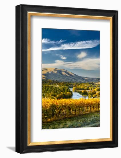 USA, Washington. Harvest Season for Red Mountain Vineyards-Richard Duval-Framed Photographic Print