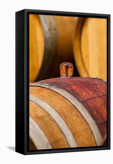 USA, Washington, Leavenworth. Glass Bung in Barrel Cellar-Richard Duval-Framed Premier Image Canvas