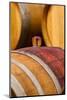 USA, Washington, Leavenworth. Glass bung in barrel cellar.-Richard Duval-Mounted Photographic Print