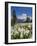 USA, Washington, Mount Rainier NP. Avalanche Lilies and Mount Rainier-Jaynes Gallery-Framed Photographic Print