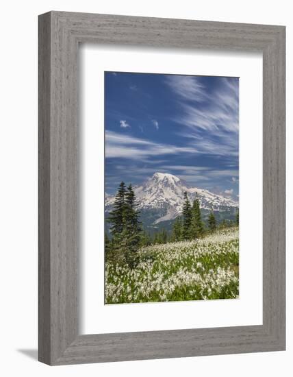 USA, Washington, Mount Rainier NP. Avalanche Lilies and Mount Rainier-Jaynes Gallery-Framed Photographic Print